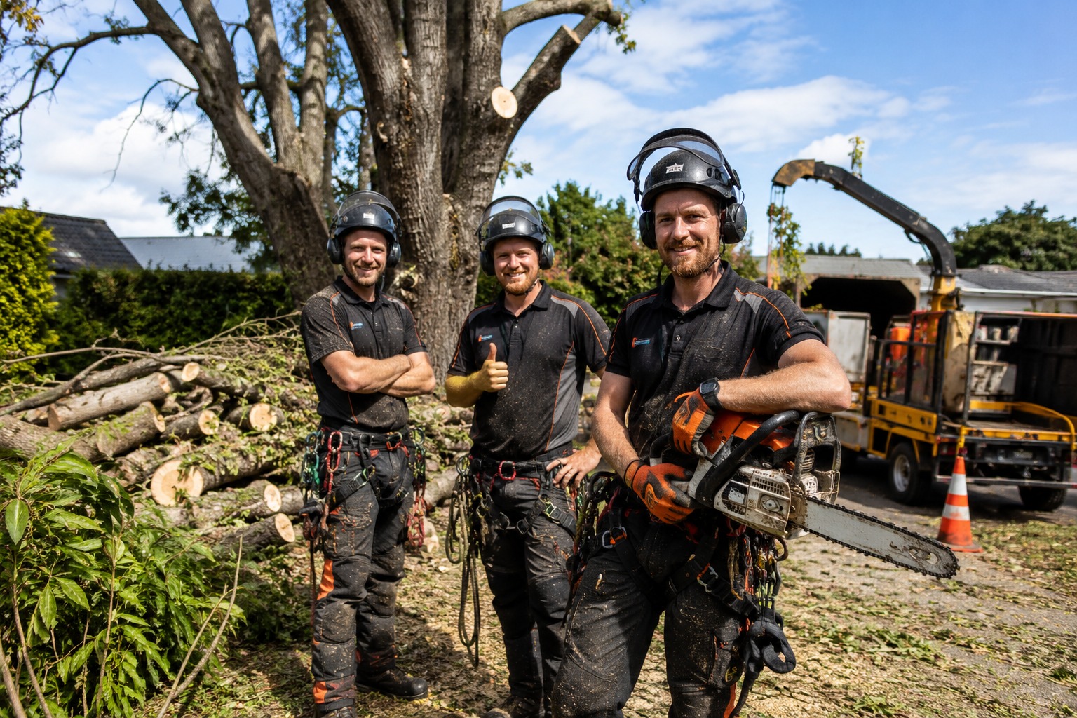 Tree services in Belfast, Christchurch