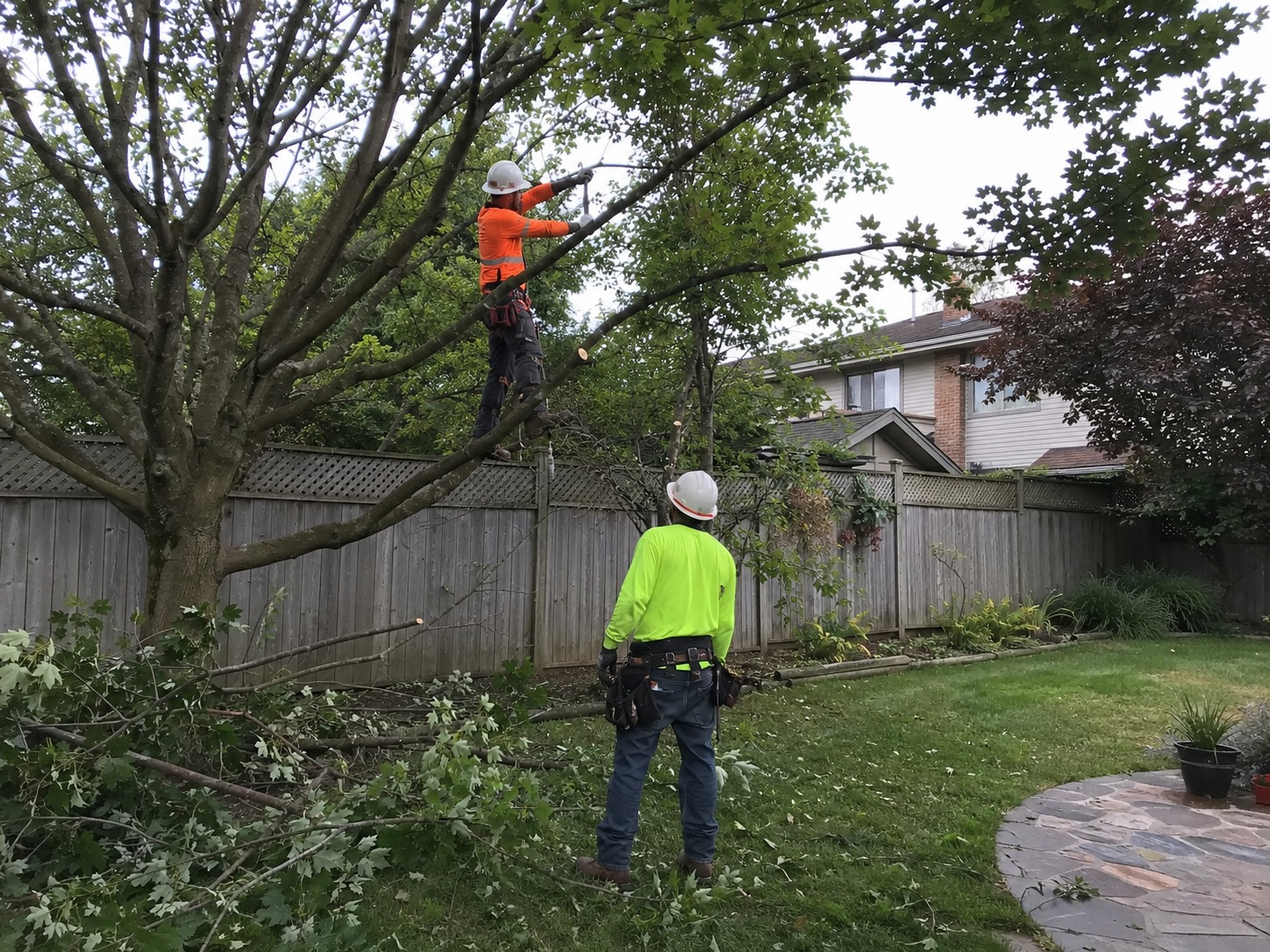 Tree services in Linwood, Christchurch