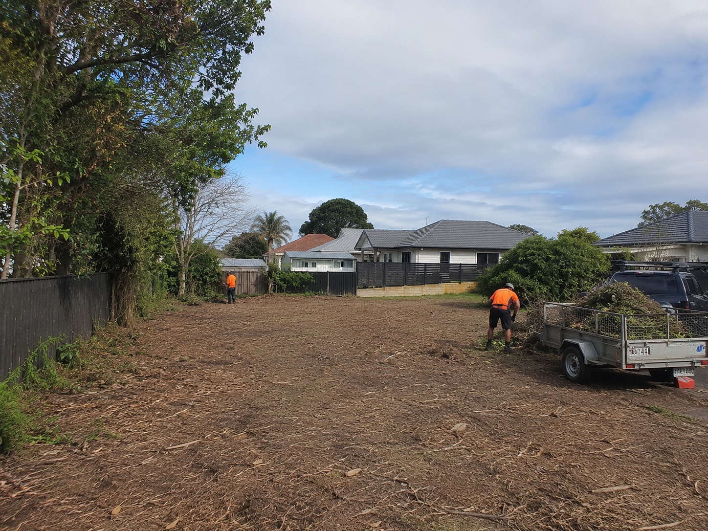 Tree services in Cashmere, Christchurch