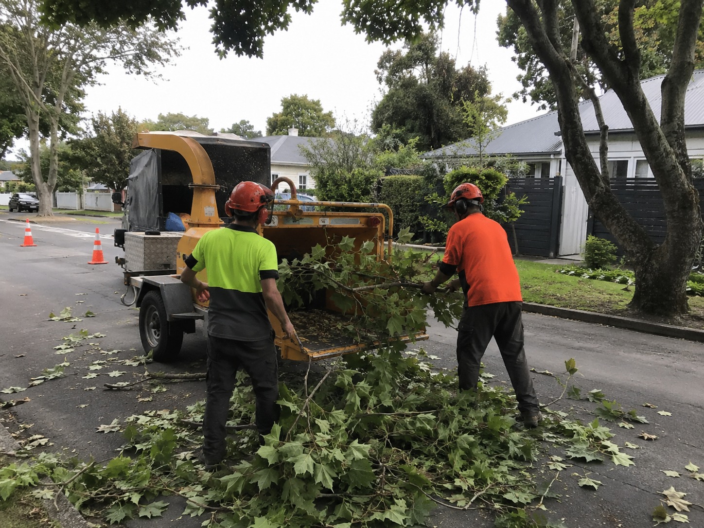 Tree services in Addington, Christchurch