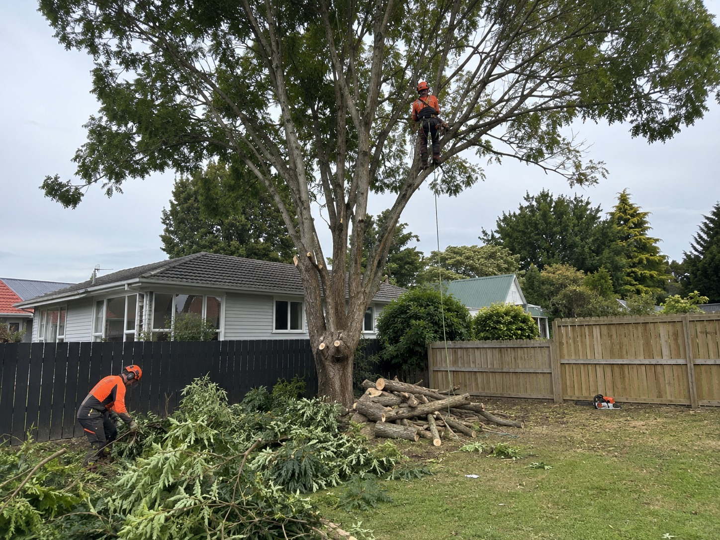 Tree services in Redwood, Christchurch