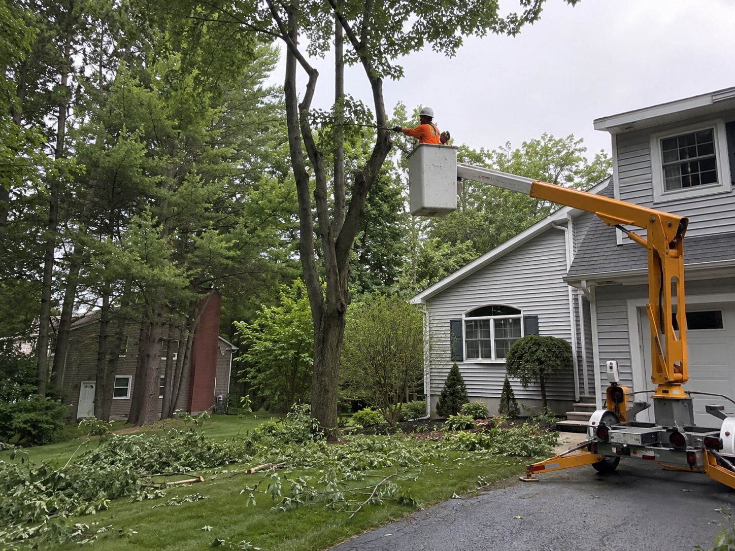 Tree services in Spreydon, Christchurch